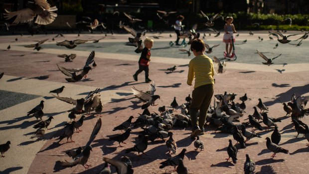 Children feed pigeons in Barcelona.