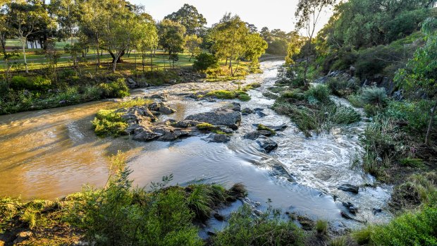 The Merri flows through Melbourne's northern suburbs before joining the Yarra. 