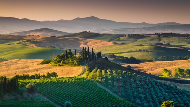 The rolling hills and valleys of scenic Tuscany in golden morning light.