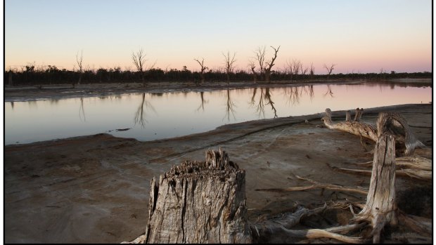 In the last big dry the Murray River was reduced to a fraction of its normal flow.