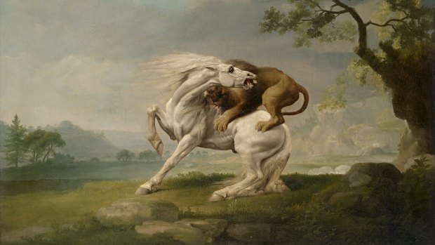 George Stubbs' A Lion Attacking a Horse (c. 1765). 