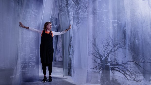 Artist Janet Laurence and her installation After Nature at the MCA last year.