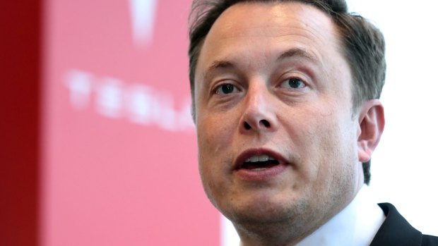 Telsa's Elon Musk is reportedly consumed by "jerk" short sellers.