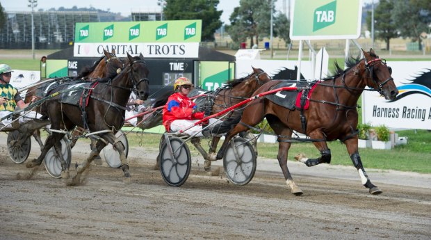 Canberra Harness Racing Club will host one of its strongest meetings ever on Sunday.