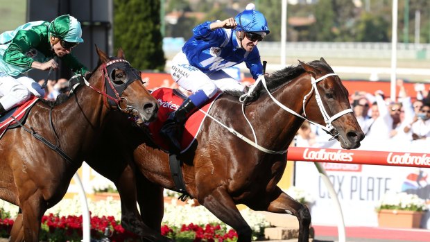 That winning feeling: Hugh Bowman punches the air as Winx wins last year's Cox Plate.