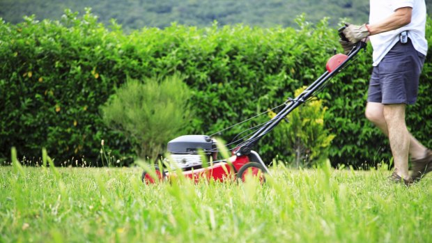Lawns are in the crosshairs of a new study.
