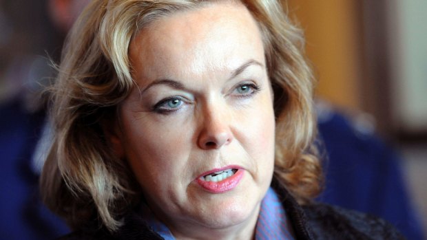 "We lost 50 people": Former police minister and New Zealand National Party MP Judith Collins.