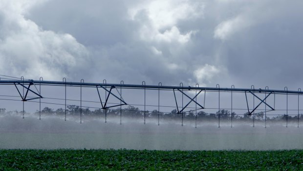 Pivot irrigation is set to become widespread in the Kimberley. 