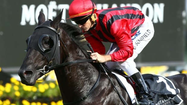 Go West: Prized Icon will be out to break a two-year winning drought in the Railway Stakes at Ascot on Saturday.