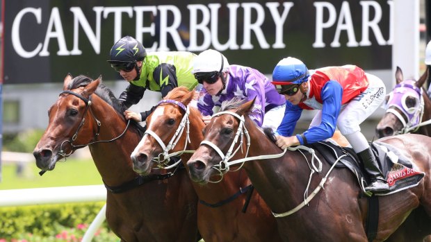 Racing is heading back to Canterbury on Friday night,