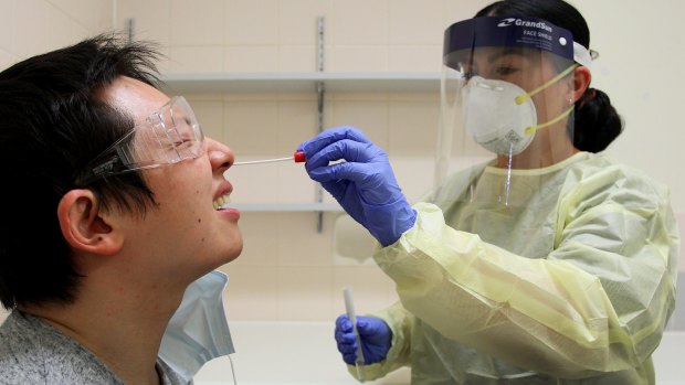 A nurse conducts a nasal swab test.
