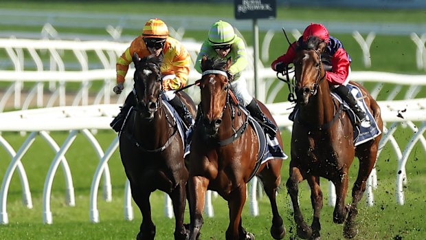 Savvy Hallie wins on Saturday.