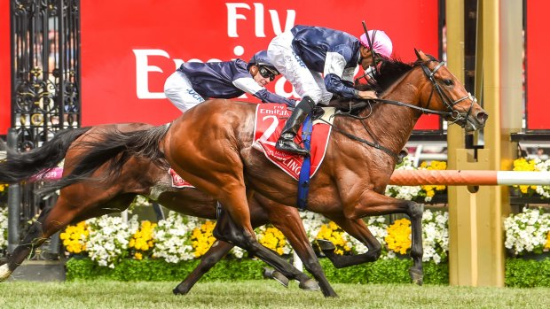 Rekindling tips out Johannes Vermer at the post in the 2017 Melbourne Cup.