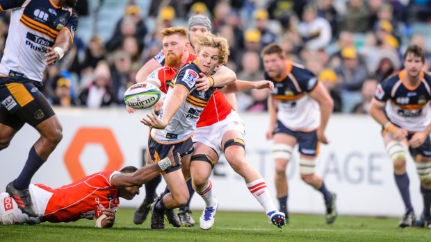 Powell in action for the Brumbies two weeks ago. 