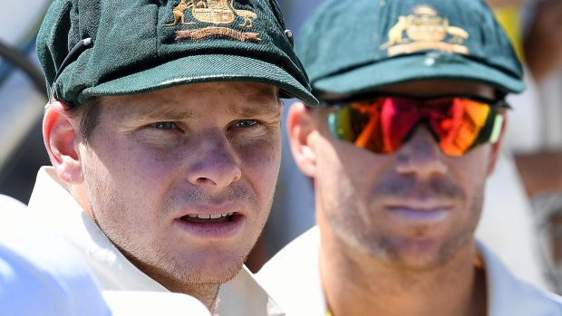 On the way back: Steve Smith and David Warner will be available from March.