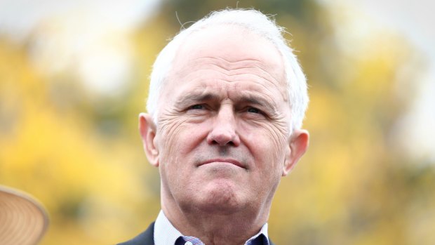 Malcolm Turnbull has defended the foreign interference laws he introduced when he was prime minister.