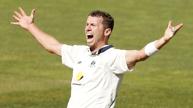 Peter Siddle is back in the Test side.