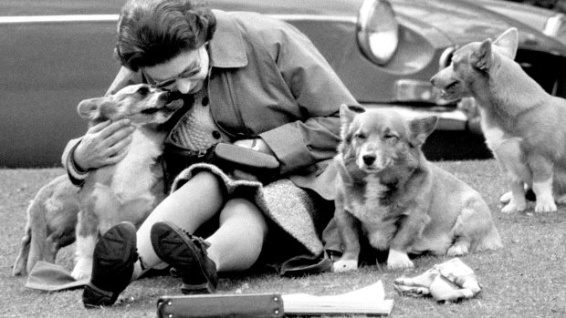 Queen Elizabeth II was well-known for her love of corgis.