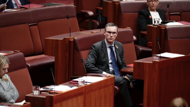 Independent senator Tim Storer during question time in the Senate.