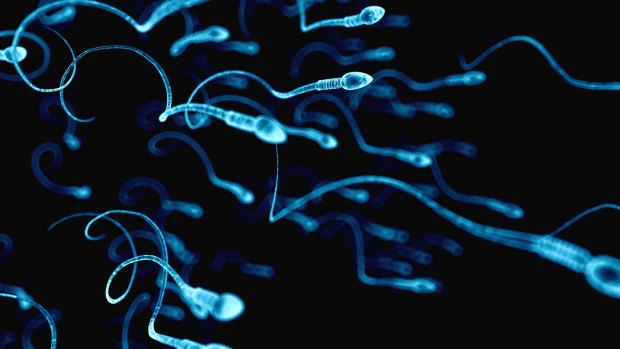 Sperm donation was shrouded in secrecy from the beginning.