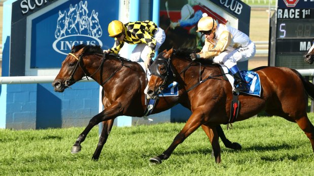 It's a seven-race card in the horse capital of Australia on Monday.