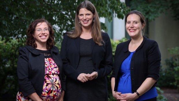 Labor MPs Amanda Rishworth and Kate Ellis and Liberal MP Kelly O'Dwyer were all pregnant with their first babies in 2015.