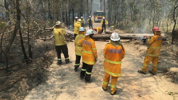 New South Wales Rural Fire Service firefighters battling bushfires on Queensland's central coast