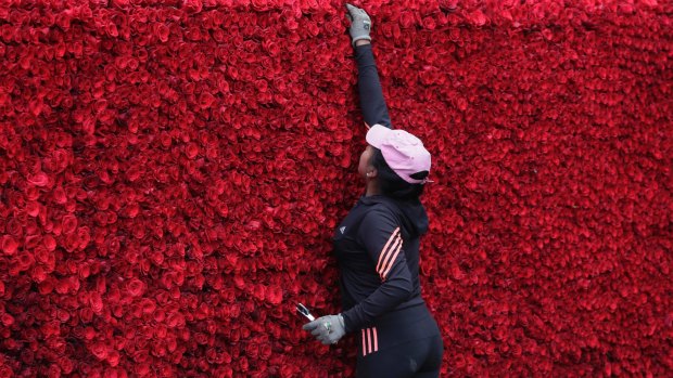 A woman places roses on the  replica Cochasqui pyramid temple.