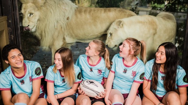Wests started a junior girls 'Lionesses' program last year,