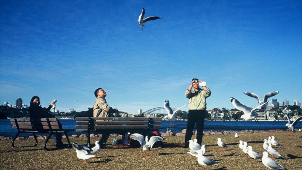 Big plans for Sydney's Cockatoo Island are being proposed. 