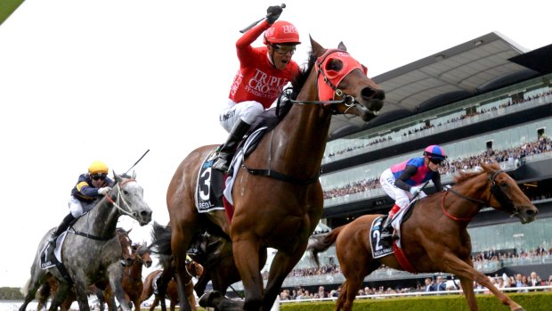 Redzel has dominated The Everest, Sydney's big money foray into the spring carnival.
