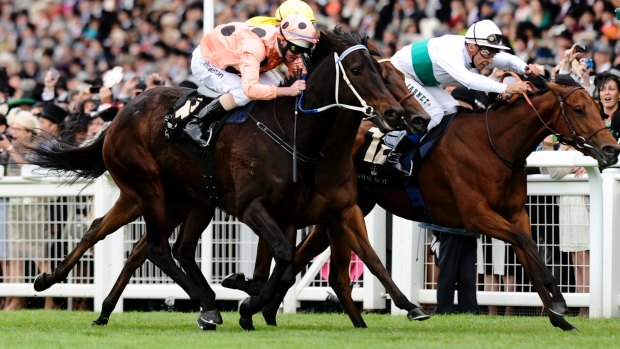 Got there: Black Caviar did enough to hold off her European rivals to win the Diamond Jubilee Stakes at Royal Ascot in 2012.