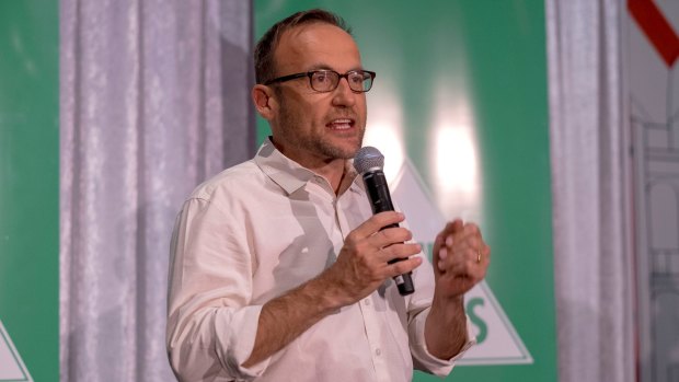 Adam Bandt said international offsets will delay the push to renewable energy.