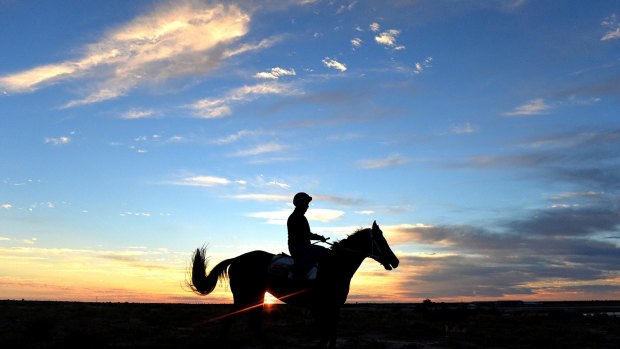 There is an eight-race card at Tamworth on Monday.