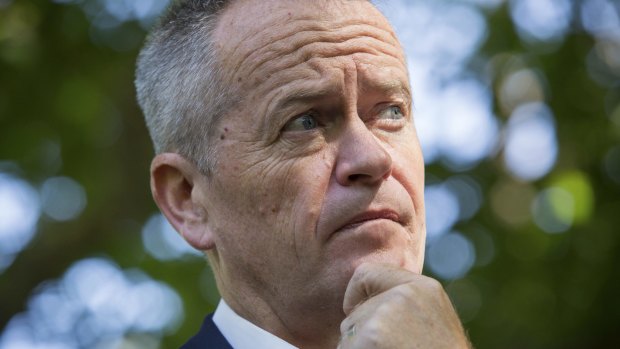 Labor leader Bill Shorten has not ruled out using Kyoto credits. 