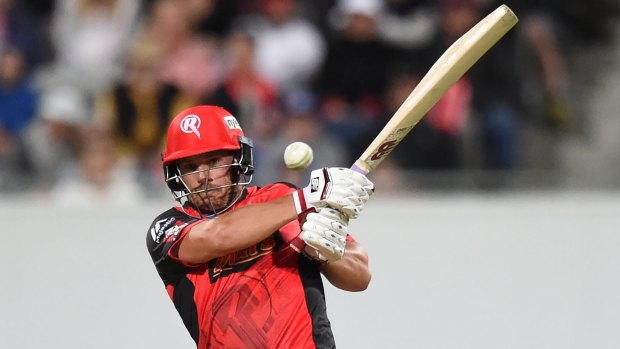 Aaron Finch in action for the Renegades.