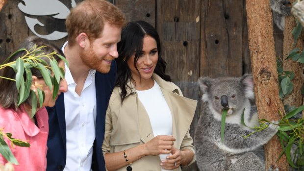 The Duke of Sussex and his wife Meghan, the Duchess of Sussex, meet Ruby, a koala who gave birth to joey Meghan, named after Her Royal Highness.