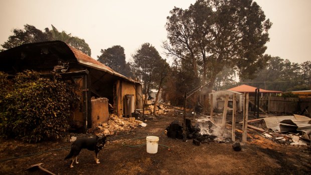 Scenes from Mallacoota today after the Gippsland bushfires. 