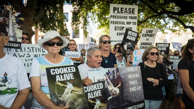 The death of 2400 sheep on a live export ship in 2018 sparked protests.
