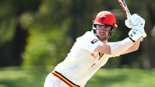 Travis Head made a century for South Australia in the Sheffield Shield.