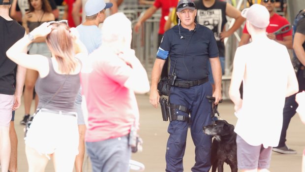 Police use sniffer dogs to search patrons before entry into music festivals more often now than a decade ago.