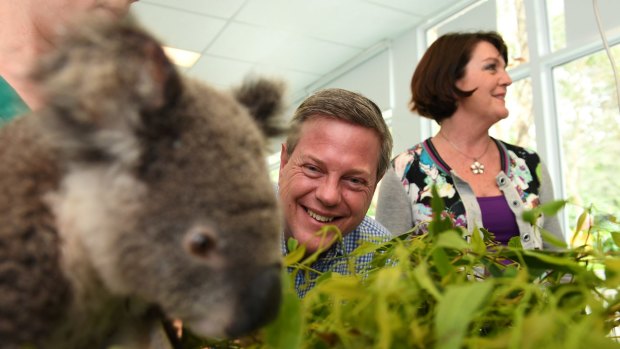 Tim Nicholls, Jann Stuckey and 'Tac' the koala at the Currumbin Wildlife Hospital in November 2017.