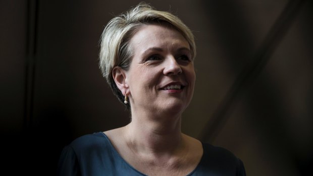 Labor's spokesperson for women, Tanya Plibersek, will release a national strategy for women's reproductive health on Wednesday. 