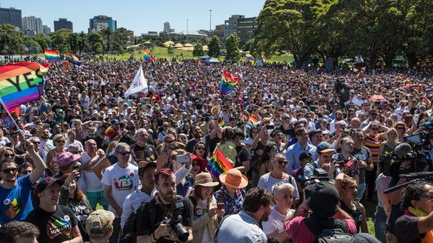 'Yes' voters celebrate at Prince Alfred Park in November last year. 