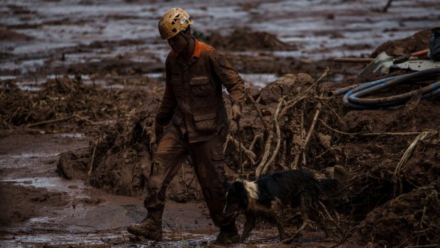 A rescue worker leads a dog through the damage after the Vale dam burst.