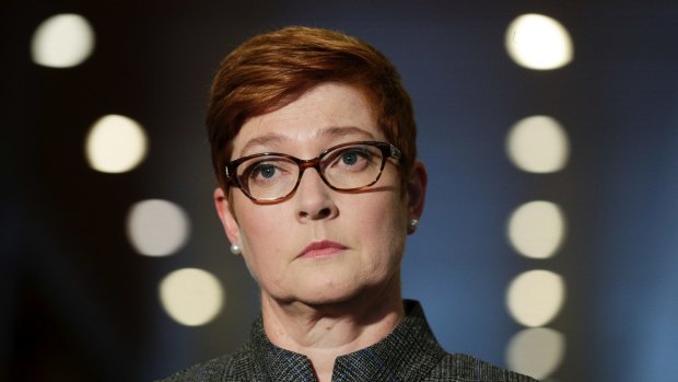 Foreign Affairs Minister Marise Payne has urged the US and China to end their trade war