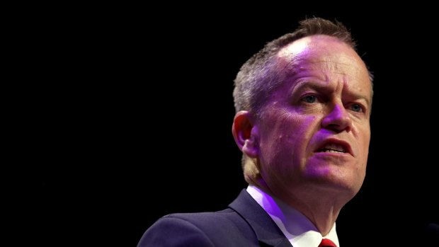 Opposition Leader Bill Shorten put forward the idea of lowering the voting age in 2015.