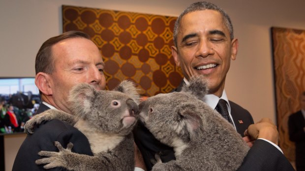 Former Prime Minister Tony Abbott and then-US President Barack Obama cuddled koalas at the G20 in Brisbane on Saturday 15 November 2014. 
