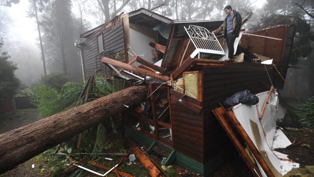 James Pickford was very lucky to escape after a large tree smashed through his Olinda bedroom in the June storms.
