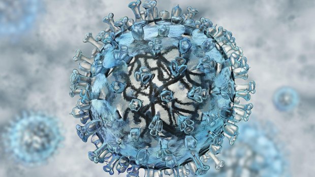 The model of a flu virus.